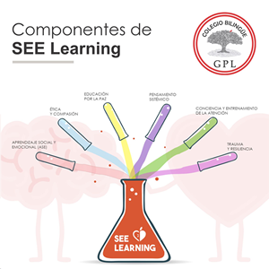 Componentes de See Learning